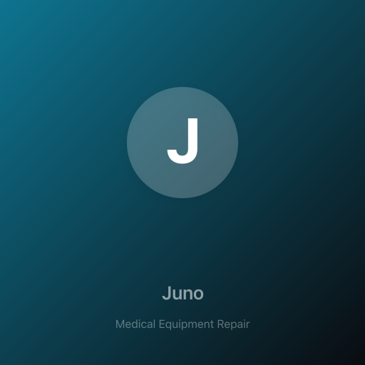 Juno AI Agent